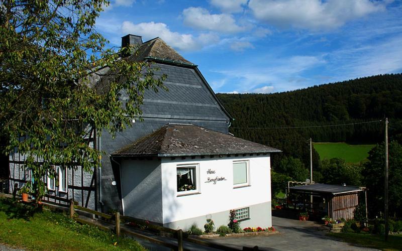 Pension Bergfrieden 施马伦贝格 外观 照片