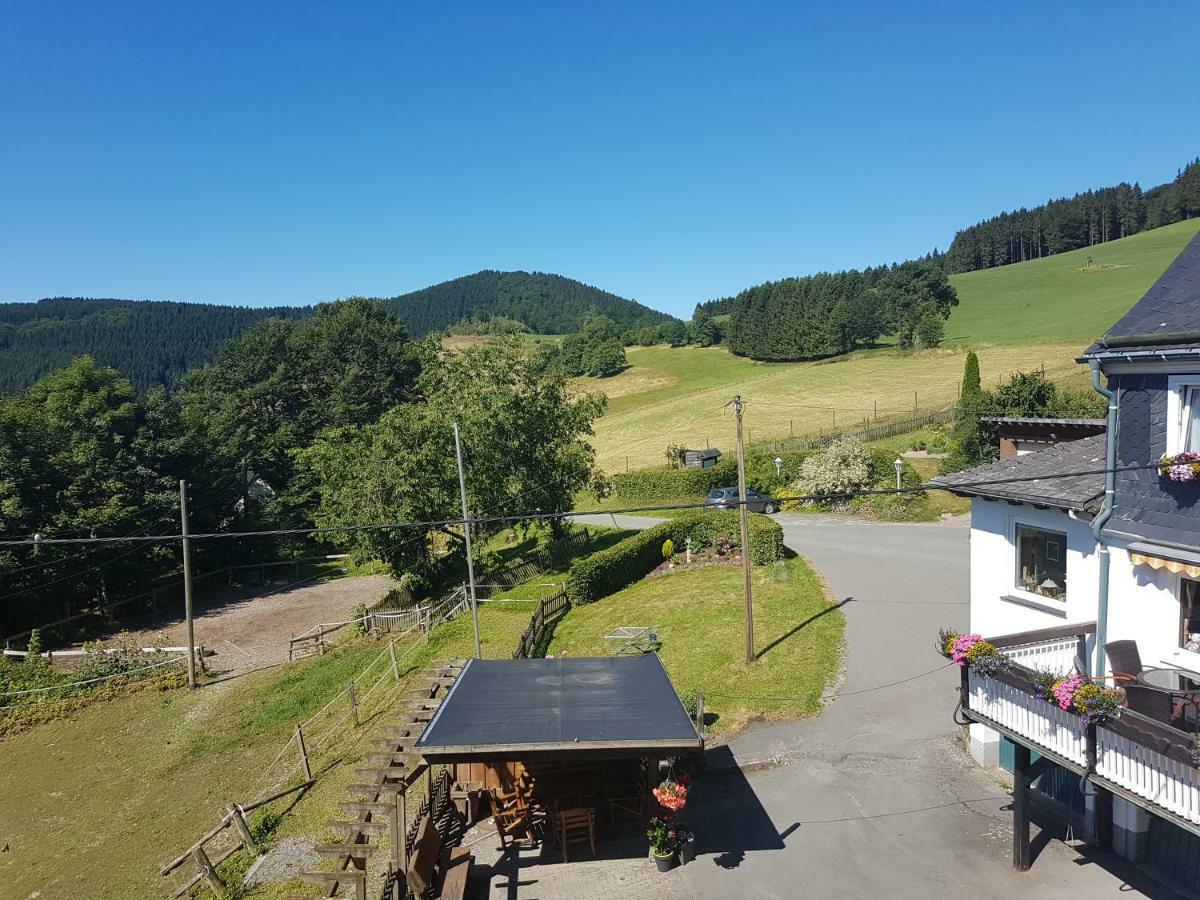 Pension Bergfrieden 施马伦贝格 外观 照片